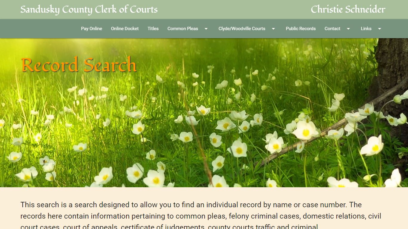 Welcome to the Clerk of Courts Web Site!